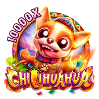 Facai : CHILIHUAHUA - POWERPLAY128