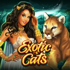 Exotic Cats - POWERPLAY128