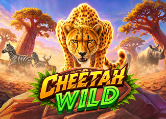 Cheetah Wild - POWERPLAY128