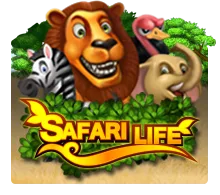Joker123 : Safari Life - POWERPLAY128