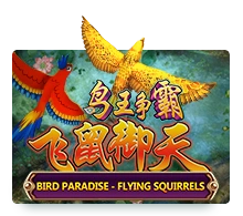 Bird Paradise - POWERPLAY128