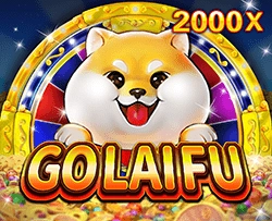 GoLaiFu - POWERPLAY128