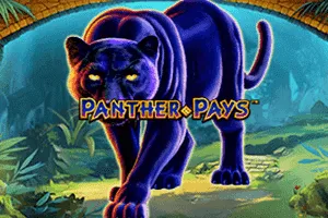 Panther Pays - POWERPLAY128