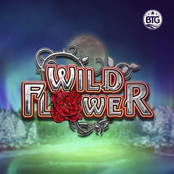 Bigtime : Wild Flower - POWERPLAY128