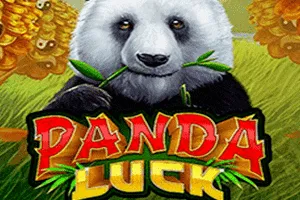 Panda Luck - POWERPLAY128